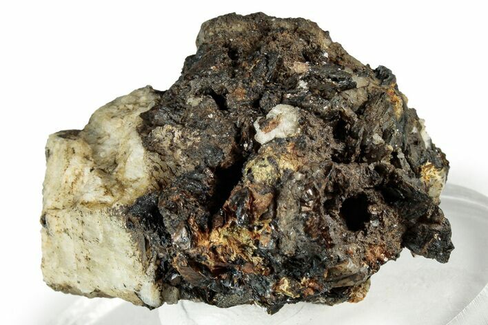 Dark Brown Niobophyllite on Feldspar - Malawi #330862